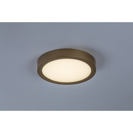 Rabalux - LED стельовий світильник для ванної кімнати LED/24 Вт/230 В, діаметр 22 см, IP44, золотистий