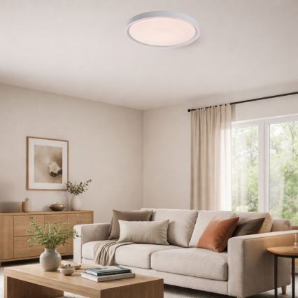 Rabalux - диммируемый потолочный светильник LED/31W/230V IP40 3000-6500K диаметр 41,5 см + пульт дистанционного управления