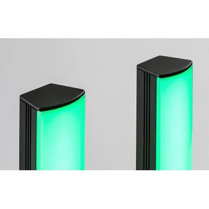Rabalux - НАБІР 2x LED RGB Настільна лампа з регулюванням яскравості PACO LED/5W/5V + пульт дистанційного керування