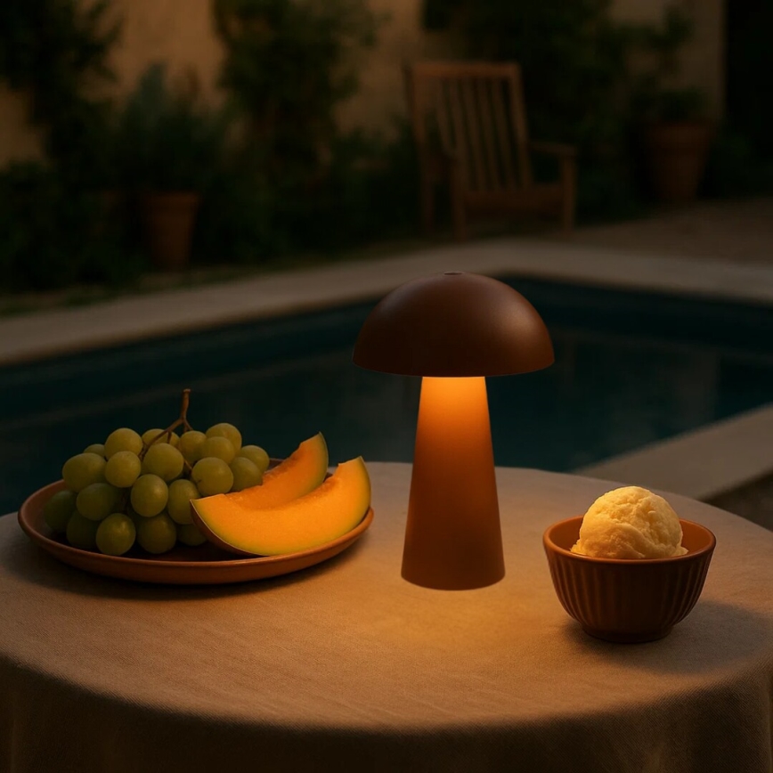 Rabalux - диммируемая сенсорная перезаряжаемая уличная LED-лампа LED/1,5W/5V IP44 1200 mAh USB коричневая