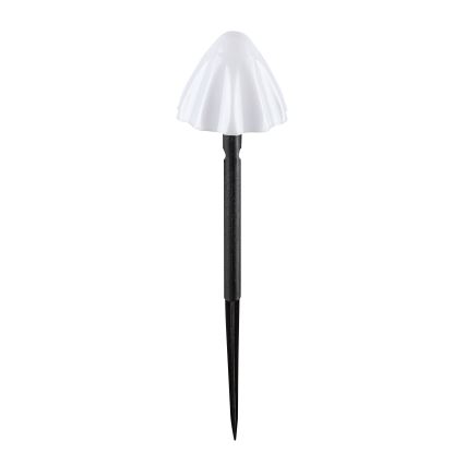 Rabalux - Светодиодный светильник на солнечной батарее 10xLED/0,2W/1,2V IP44