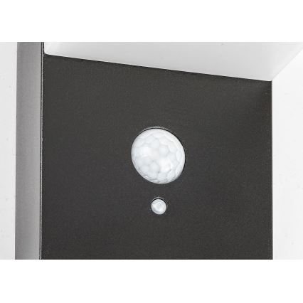 Rabalux - Світлодіодний світильник на сонячній батареї з датчиком LED/6W/3,7V IP44 2200 mAh