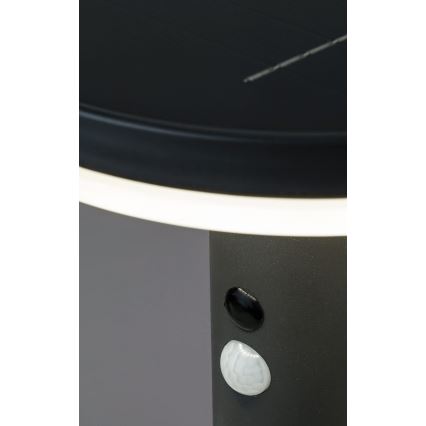 Rabalux - Светодиодный светильник на солнечной батарее с датчиком LED/10W/3,7V IP44 2500 mAh
