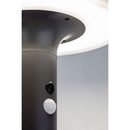 Rabalux - Светодиодный светильник на солнечной батарее с датчиком LED/10W/3,7V IP44