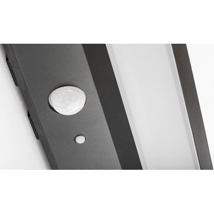 Rabalux - Світлодіодний світильник на сонячній батареї з датчиком LED/6W/3,7V IP44