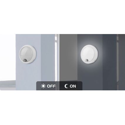 Rabalux - Светильник уличный настенный с датчиком LED/15Вт/230В IP54