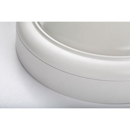 Rabalux - Светильник уличный настенный с датчиком LED/15Вт/230В IP54
