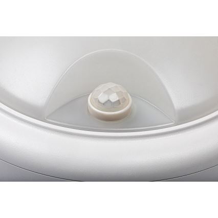 Rabalux - Светильник уличный настенный с датчиком LED/15Вт/230В IP54