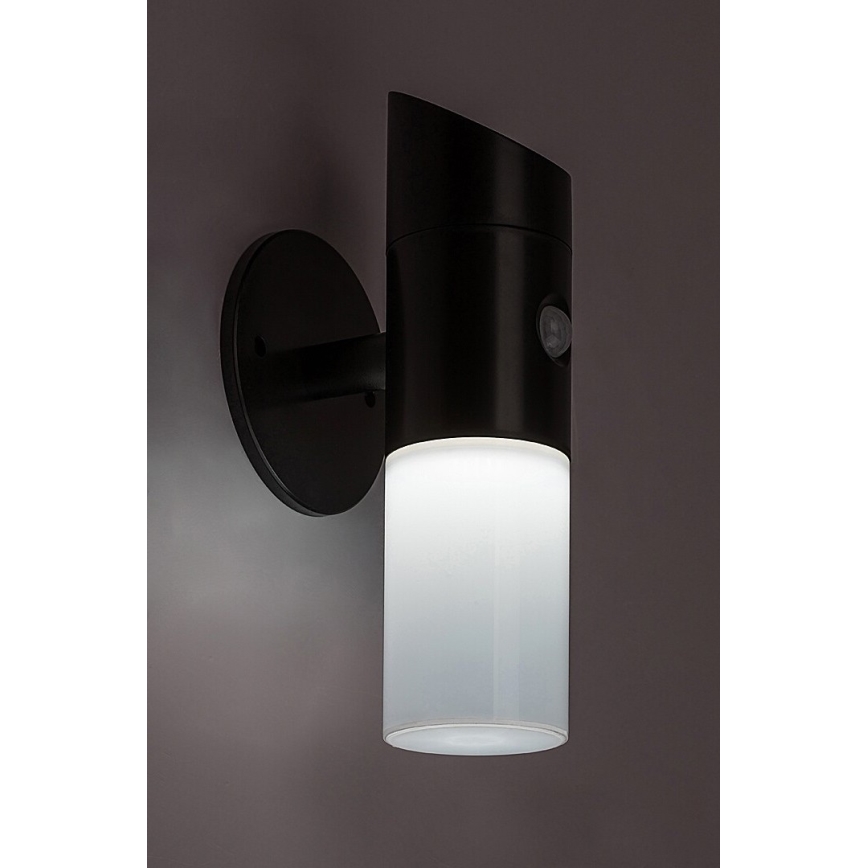 Rabalux - Світильник на сонячній батареї з LED RGB, настінний, з датчиком, LED/1W/3,7V IP44, чорний, 1200 мАг