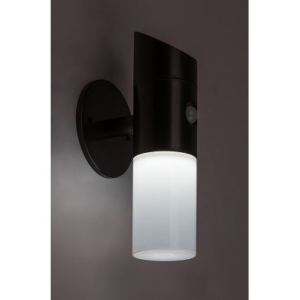Rabalux - LED RGB Настінний світильник з датчиком на сонячній батареї LED/1W/3,7V IP44 чорний