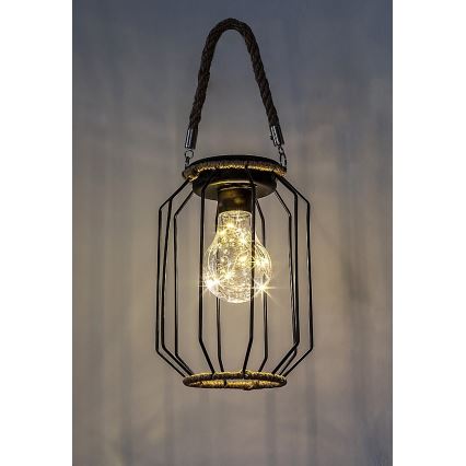 Rabalux - Світильник на сонячній батареї LED/0,2 Вт/1,2 В IP44 600 мАг