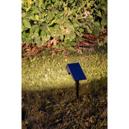 Rabalux - Світильник на сонячній батареї LED/0,5W/3,7V IP65 чорний 3000 мАг