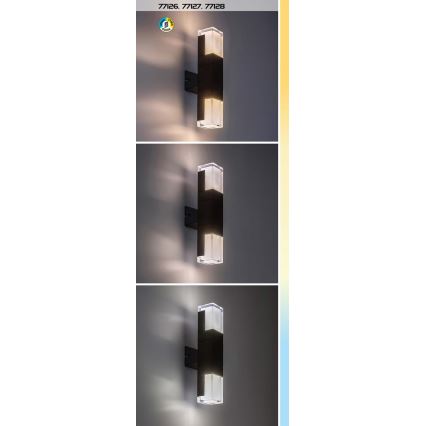 Rabalux - Уличный светодиодный настенный светильник LED/7W/230V 2700/4000/6000K IP54