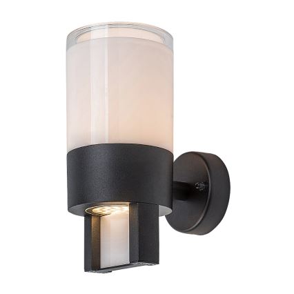 Rabalux - Вуличний світлодіодний настінний світильник LED/12W/230V IP44