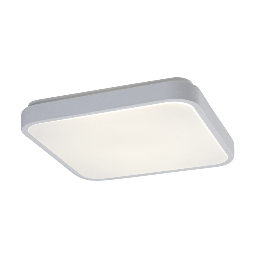 Rabalux - Світильник для ванної кімнати на стелю з LED та сенсором LED/18W/230V 4000K IP44