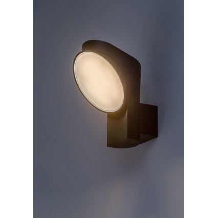 Rabalux - Вуличний світлодіодний настінний світильник LED/12W/230V IP54