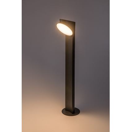 Rabalux - Светодиодная уличная лампа LED/12W/230V IP54