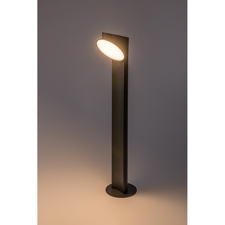 Rabalux - Светодиодная уличная лампа LED/12W/230V IP54