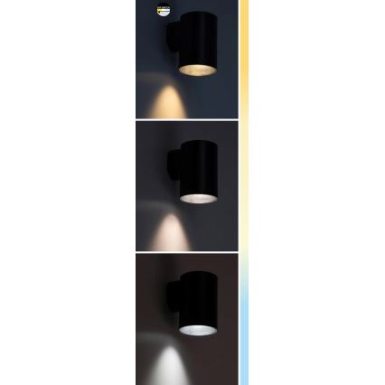 Rabalux - Вуличний світлодіодний настінний світильник LED/9W/230V 2700/4000/6500K IP65 чорний
