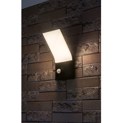 Rabalux - LED Вуличний настінний світильник з датчиком LED/10W/230V IP54