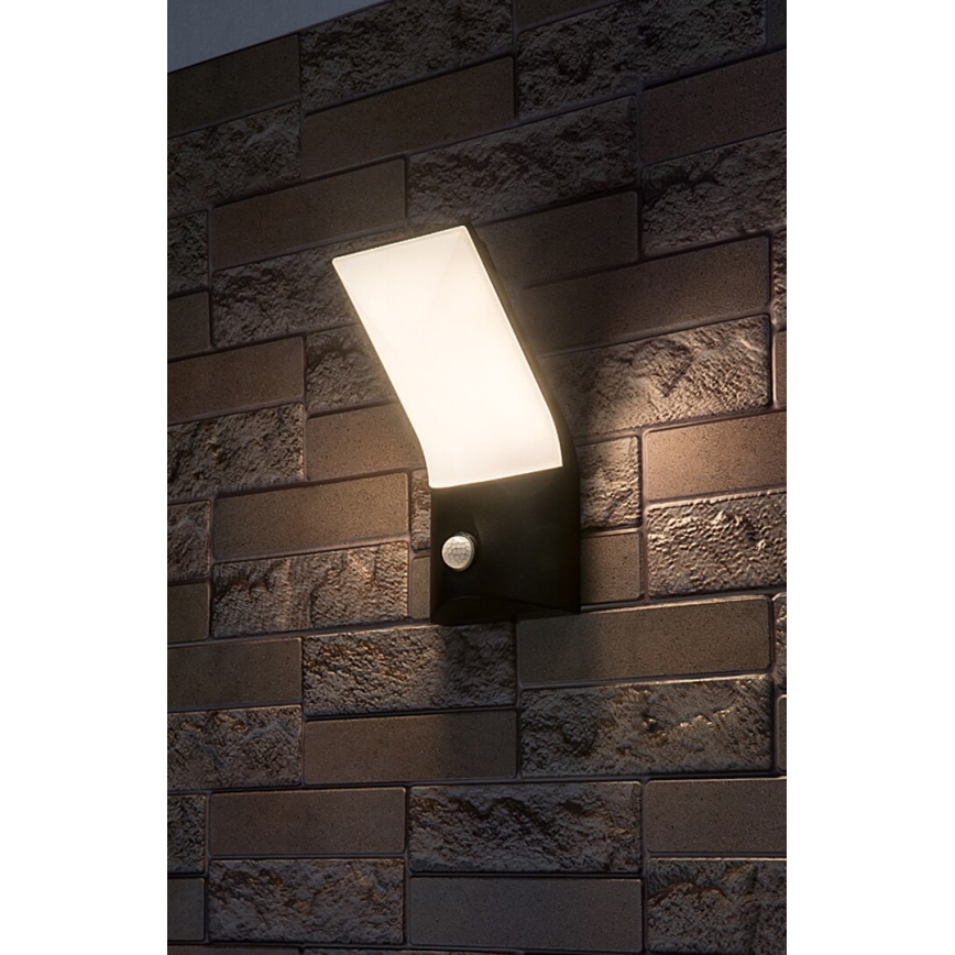Rabalux - LED Вуличний настінний світильник з датчиком LED/10W/230V IP54