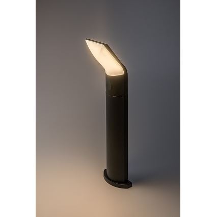 Rabalux - Вулична світлодіодна лампа LED/10W/230V IP54