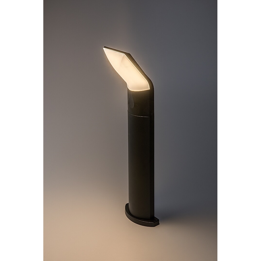 Rabalux - Вулична світлодіодна лампа LED/10W/230V IP54