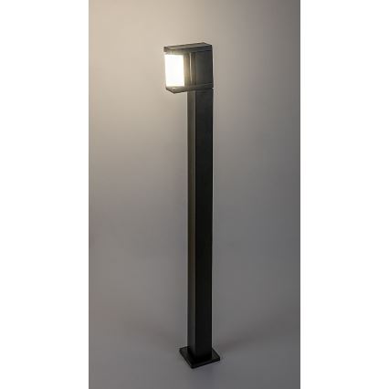 Rabalux - Вулична світлодіодна лампа LED/10W/230V IP54