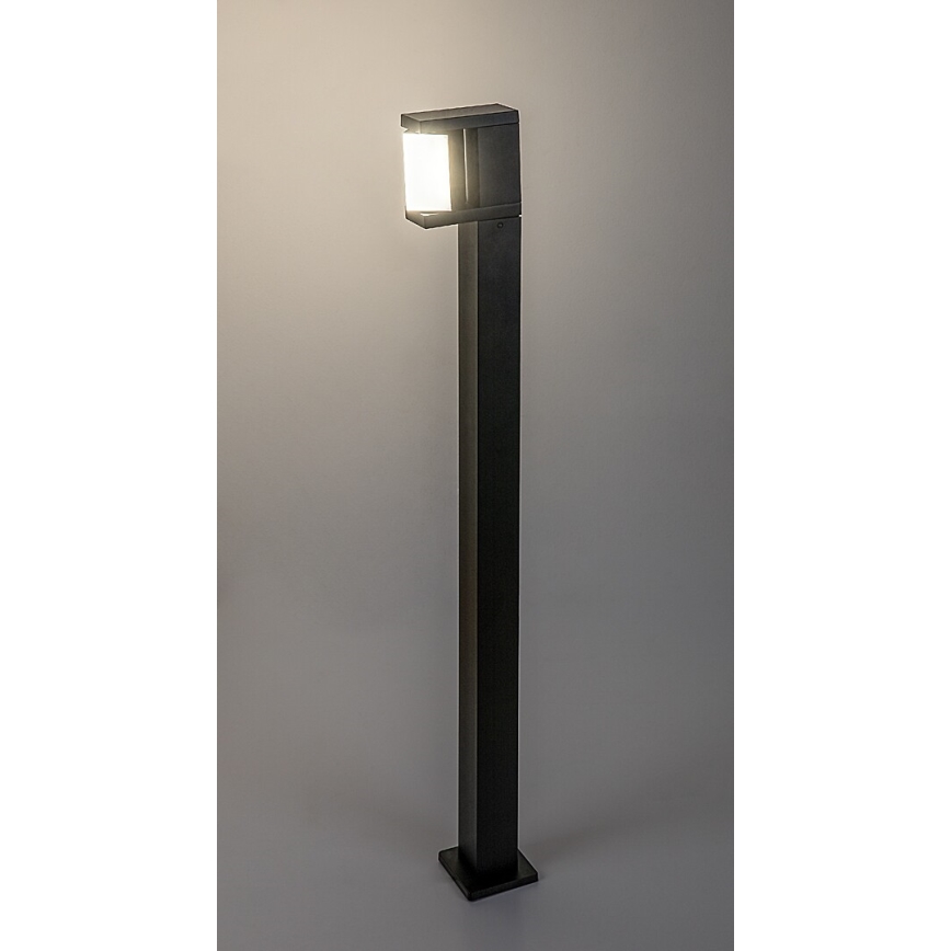 Rabalux - Вулична світлодіодна лампа LED/10W/230V IP54
