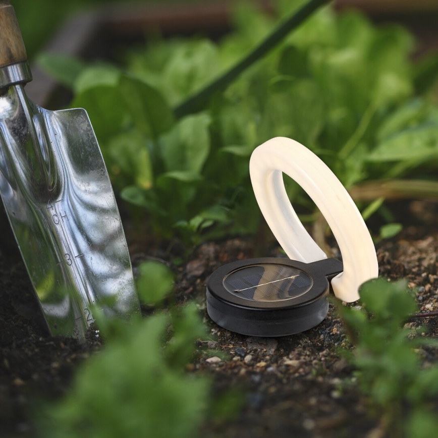 Rabalux - Світильник на сонячній батареї LED/0,05 Вт/1,2 В IP44 300 мАг