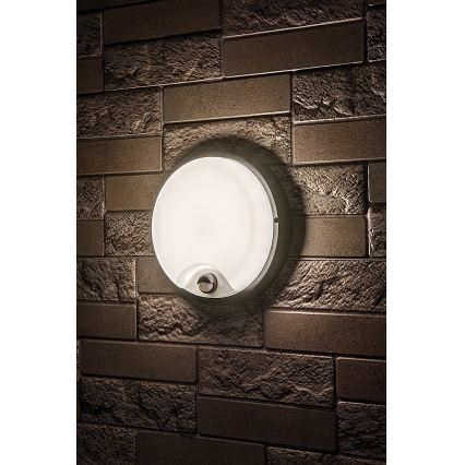 Rabalux - уличный настенный светильник с датчиком LED/18W/230V IP65 черный