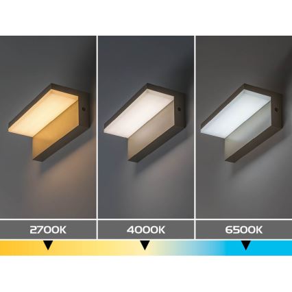 Rabalux - LED зовнішній настінний світильник LED/9W/230V IP54 бежевий