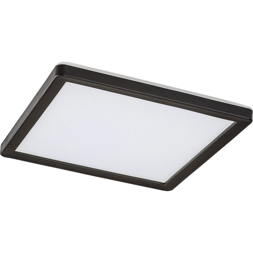 Rabalux - Светодиодный уличный светильник с регулированием яркости LED/15W/230V Wi-Fi Tuya 2700-6500K IP44 + дистанционное управление