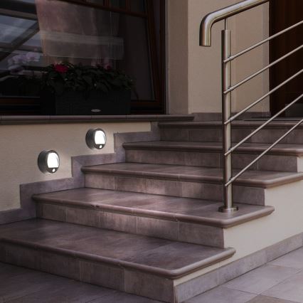 Rabalux - Вуличний світлодіодний настінний світильник з датчиком LED/1,5W/3xAA IP44