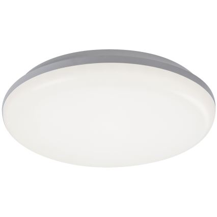 Rabalux - Вуличний світлодіодний стельовий світильник LED/24W/230V IP64
