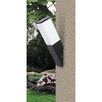 Rabalux - Зовнішній настінний світильник 1xE27/60W/230V IP44