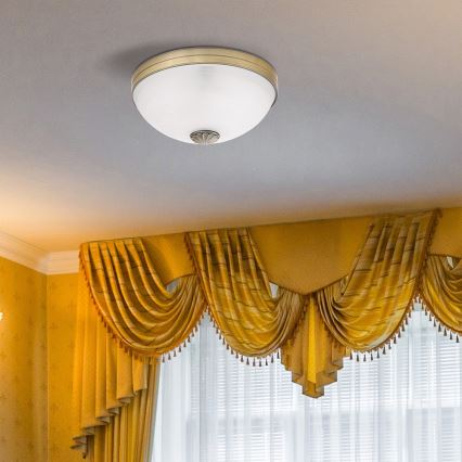 Rabalux 8558 - Потолочный светильник ORCHIDEA 2xE27/60W/230V