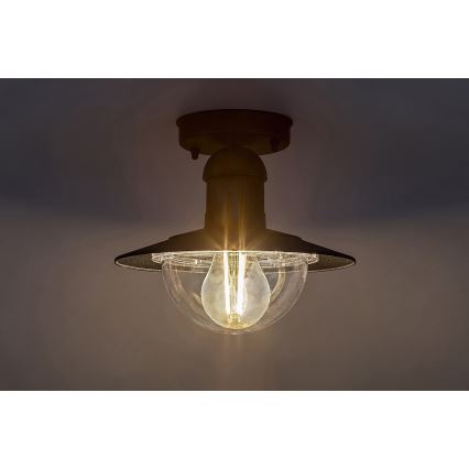 Rabalux 8716 - Уличный потолочный светильник OSLO 1xE27/60W IP44