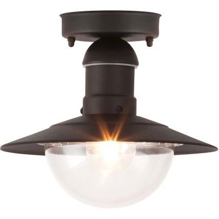 Rabalux 8716 - Уличный потолочный светильник OSLO 1xE27/60W IP44