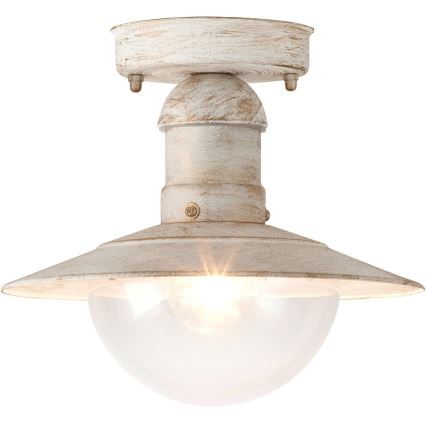 Rabalux 8739 - Уличный потолочный светильник OSLO 1xE27/60W IP44