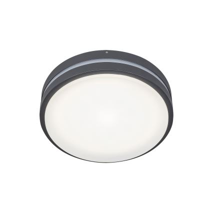 Rabalux 8847 - Вуличний світлодіодний настінний світильник HAMBURG LED/10W/230V IP44