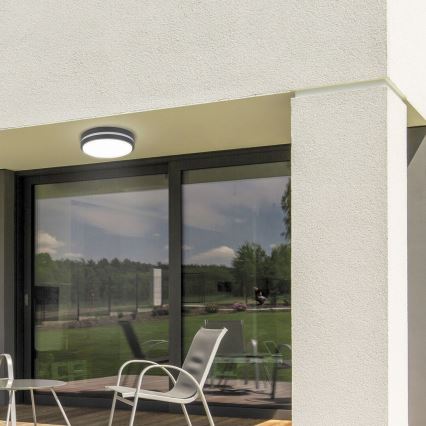 Rabalux 8848 - Уличный светодиодный настенный светильник HAMBURG LED/12W/230V IP44