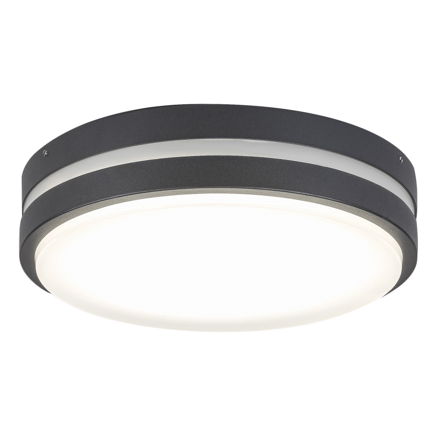 Rabalux 8848 - Уличный светодиодный настенный светильник HAMBURG LED/12W/230V IP44