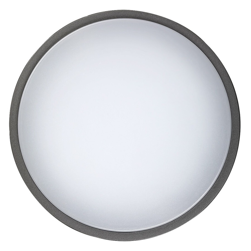 Rabalux 8848 - Уличный светодиодный настенный светильник HAMBURG LED/12W/230V IP44