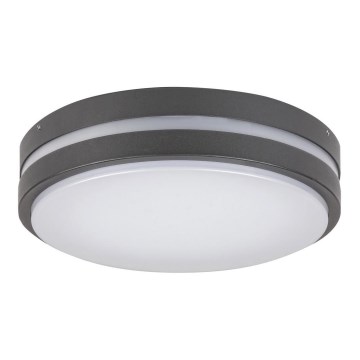 Rabalux 8848 - Вуличний світлодіодний настінний світильник HAMBURG LED/12W/230V IP44