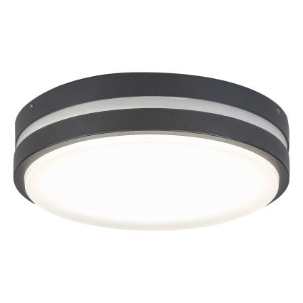 Rabalux 8848 - Вуличний світлодіодний настінний світильник HAMBURG LED/12W/230V IP44
