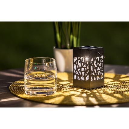 Rabalux - Светодиодный уличный светильник на солнечной батарее LED/0,07W/1xAAA IP23 200 mAh