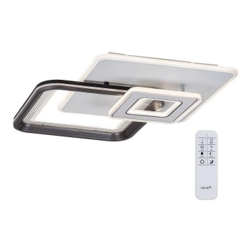 Rabalux - диммируемый накладной потолочный светильник LED/48W/230V 3000K/4000K/6000K + пульт ДУ 49,5x49,5 см