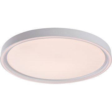 Rabalux - диммируемый потолочный светильник LED/31W/230V IP40 3000-6500K диаметр 41,5 см + пульт дистанционного управления