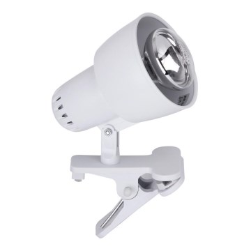 Rabalux - Лампа з затискачем 1xE14/40W/230V білий
